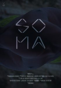 Soma_Womb poster